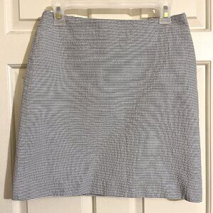 Ann Taylor Striped Navy and White Skirt Fully Lined Size 2